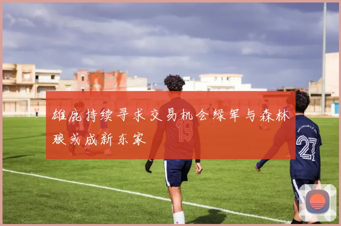 雄鹿持续寻求交易机会绿军与森林狼或成新东家